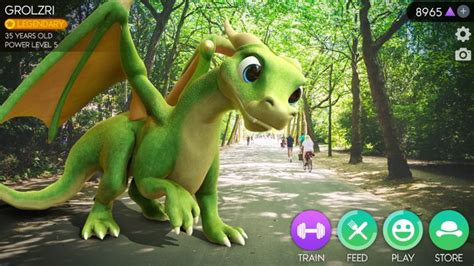 Dragon ar google.  However, some extra items can be purchased for real money.  Store docume...