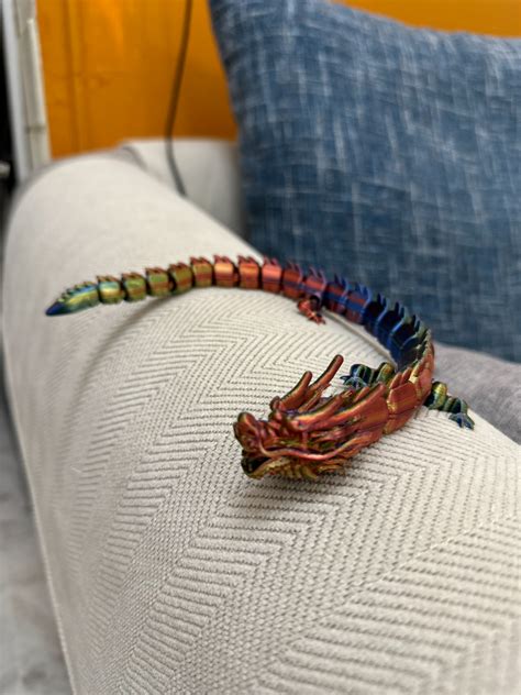 Dragon short video. .  ...