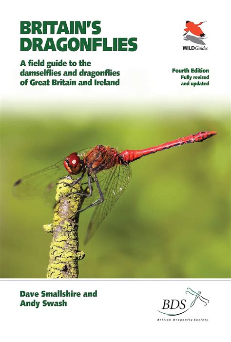 Dragonflies Of Ireland Field Guide