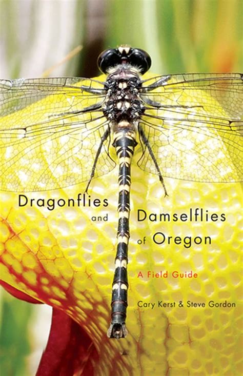 Dragonflies and damselflies of oregon a field guide. - Nursing osces a complete guide to exam success.