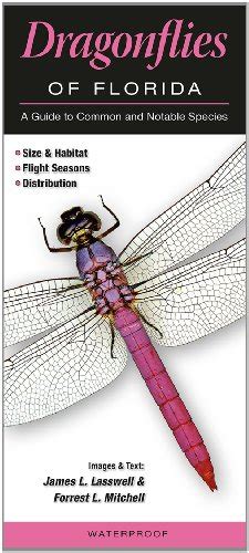 Dragonflies of florida a guide to common notable species. - The war of the worlds illustrated classics guide graphic novels.