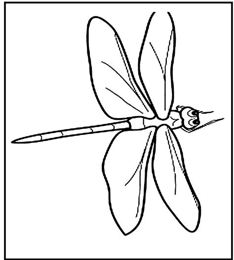 Dragonfly Coloring Pages Printable