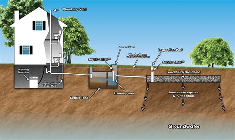 Drain Flies in to the Sewer Pipe System - sewer repair NJ