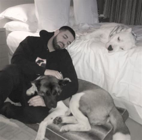 Drake For All The Dogs Calendar
