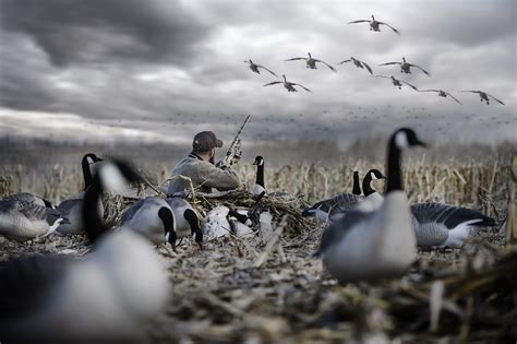 Drake waterfowl hunting. Don't compromise on comfort while hunting. Stay warm and dry in our durable pants and bibs. Skip to content. Drake Waterfowl. McAlister. ... The Drake Waterfowl Softshell Waterfowler Pants are warm, ultra-comfortable, and versatile. Loaded with secure p... Quick Add. Small Medium Large Xlarge 2Xlarge 3Xlarge +4 +3 +2 +1. 