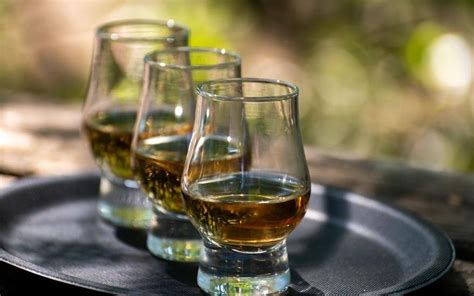 Dram Fruity: The 6 Best Fruity Whiskies For Your Glass