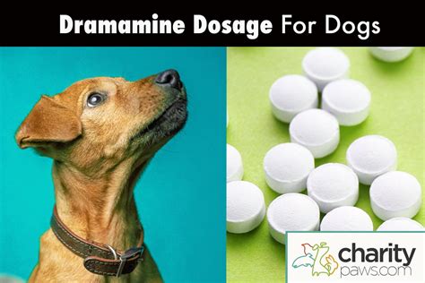 Dramamine for dogs dosage. Things To Know About Dramamine for dogs dosage. 