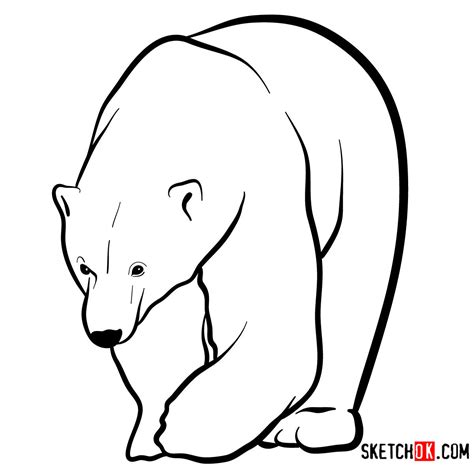 Draw A Polar Bear