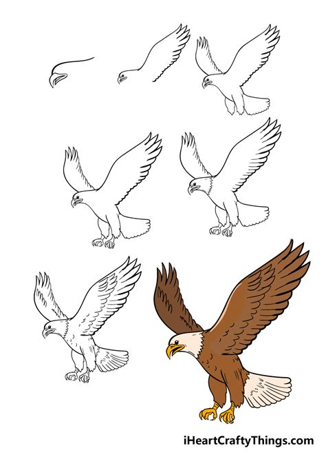 Draw An Eagle Step By Step