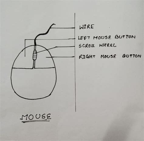 Draw And Label The Parts Of A Computer Mouse Parts Of A Computer