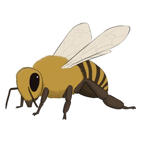 Draw Bees