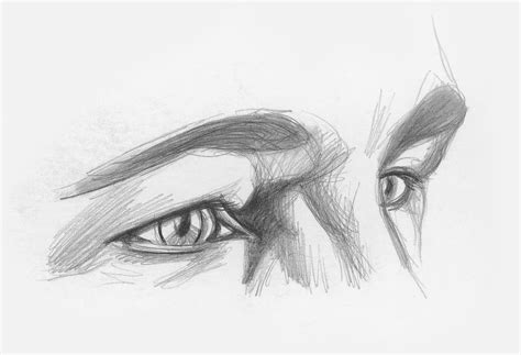 Draw Facial Features with This InDepth Beginner’s Guide