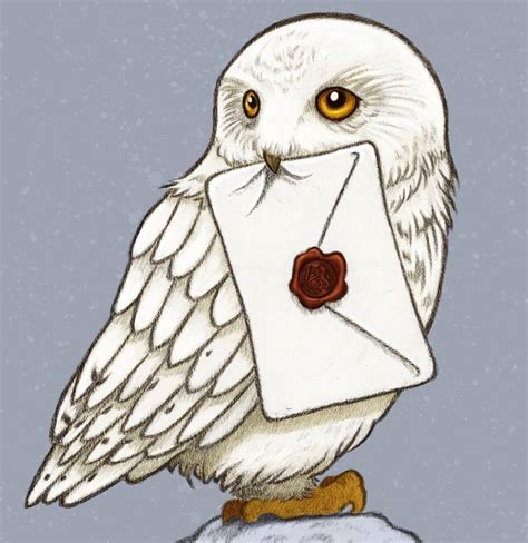 Draw Hedwig