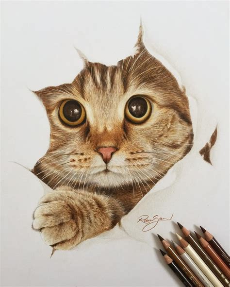 Draw Realistic Animals