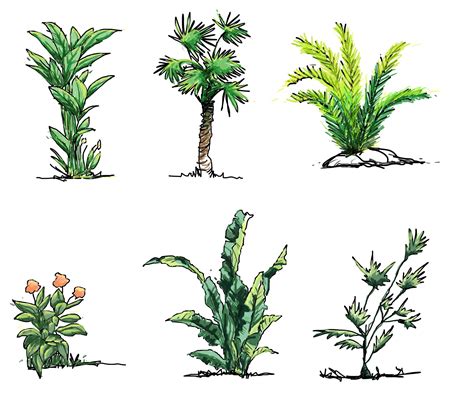 Draw Shrubs