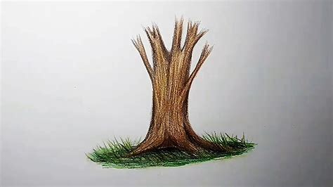 Draw Tree Trunk