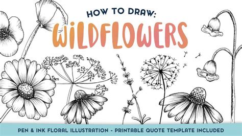 Draw Wildflowers