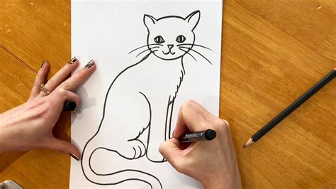 Draw a cat for you. Things To Know About Draw a cat for you. 