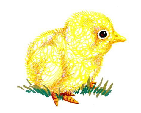Draw a chick. Things To Know About Draw a chick. 