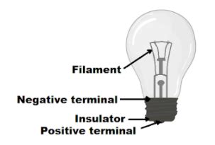 Draw a diagram showing the two terminals of a bulb. - Vedantu