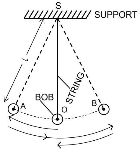 Draw a neat diagram of a simple pendulum . show on it the effective