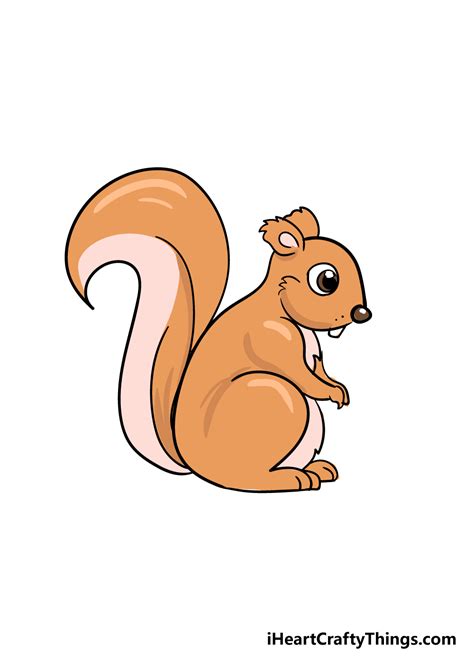 Draw a squirrel. Things To Know About Draw a squirrel. 