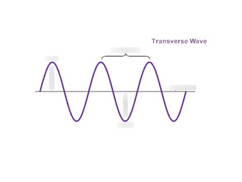 Draw and label a diagram of a transverse wave. Diagram Quizlet