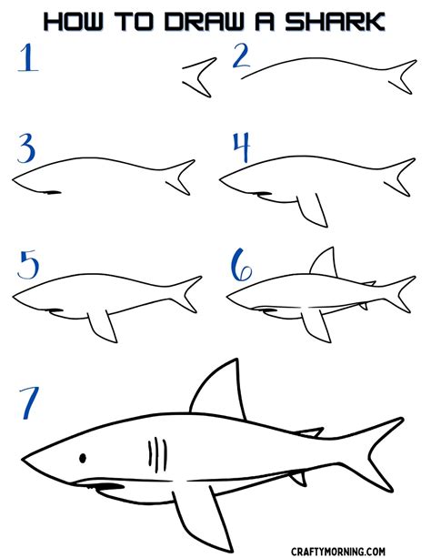 Draw shark step by step