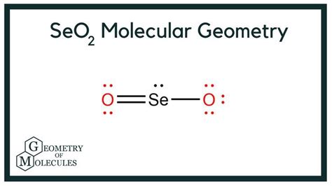 Draw the lewis structure for the selenium dioxide. Things To Know About Draw the lewis structure for the selenium dioxide. 