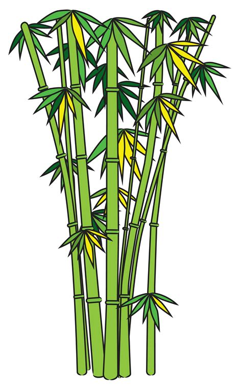 Drawing Bamboo
