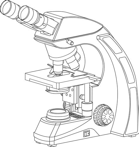 Drawing Compound Microscope