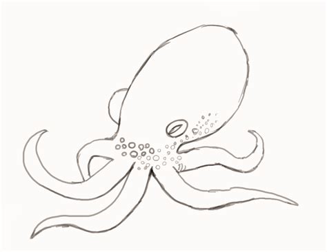 Drawing Easy Octopus