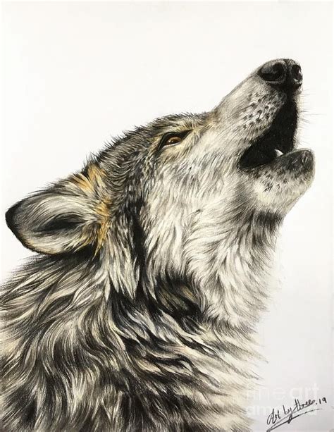 Drawing Howling Wolf