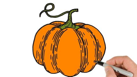 Drawing Lesson How to Draw Pumpkins YouTube