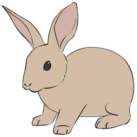 Drawing Of A Bunny Rabbi