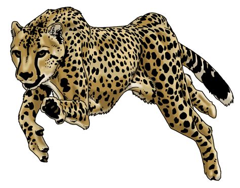 Drawing Of A Cheetah Running