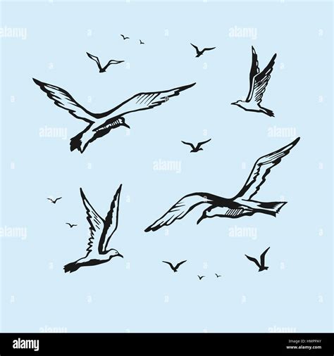 Drawing Of A Seagulls In Flight stock illustrations