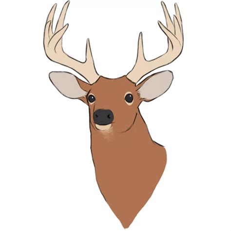 Drawing Of Deer Head