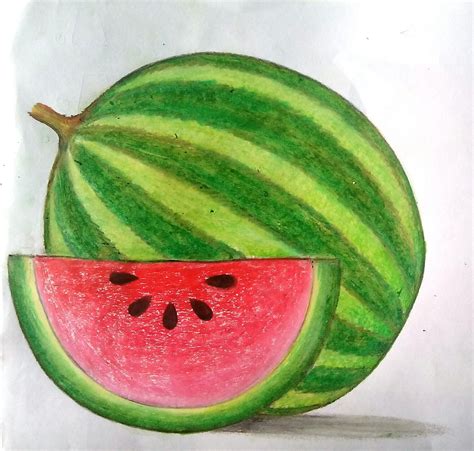 Drawing Of Watermelon