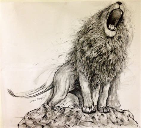 Drawing The Lion