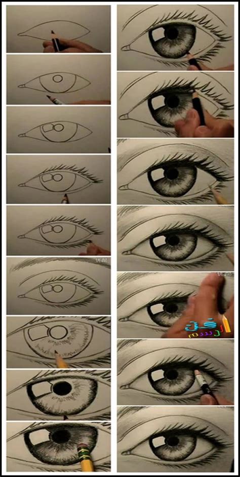 Drawing Tips Beginners