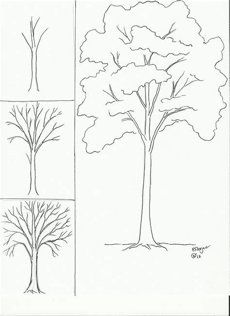 Drawing Trees Step By Step Draw A Tree Art Class Ideas photo, Drawing