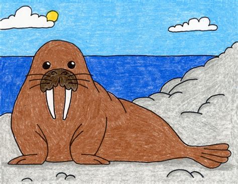 Drawing Walrus