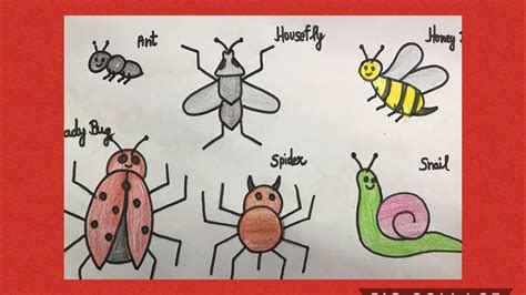 Drawing insects for beginners step by step guide to drawing bugs learn to draw volume 39. - Manual for tutors and teachers of reading.
