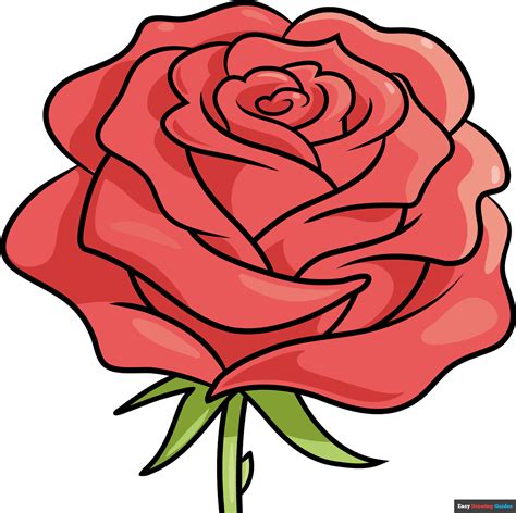Drawing of a rose. Things To Know About Drawing of a rose. 