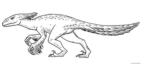 Drawing of pyroraptor Line art illustrations