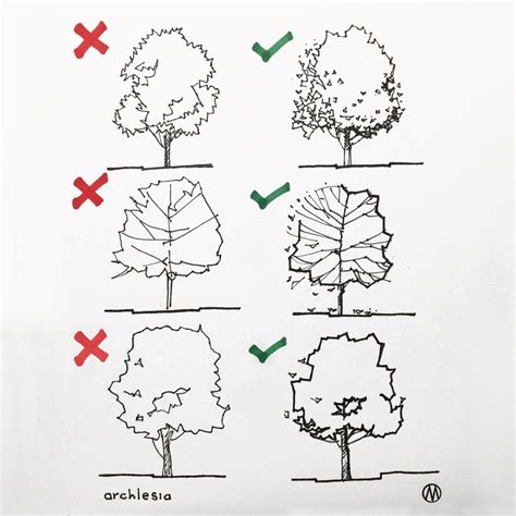 Drawing of trees in architectural sketches Follow archlesia_en for
