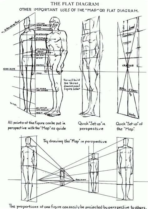 Drawing the human figure the artists complete guide by. - Mercury 50hp 2 stroke outboard repair manual.