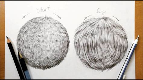 Drawing tutorial How to draw realistic fur in graphiteLeontine van
