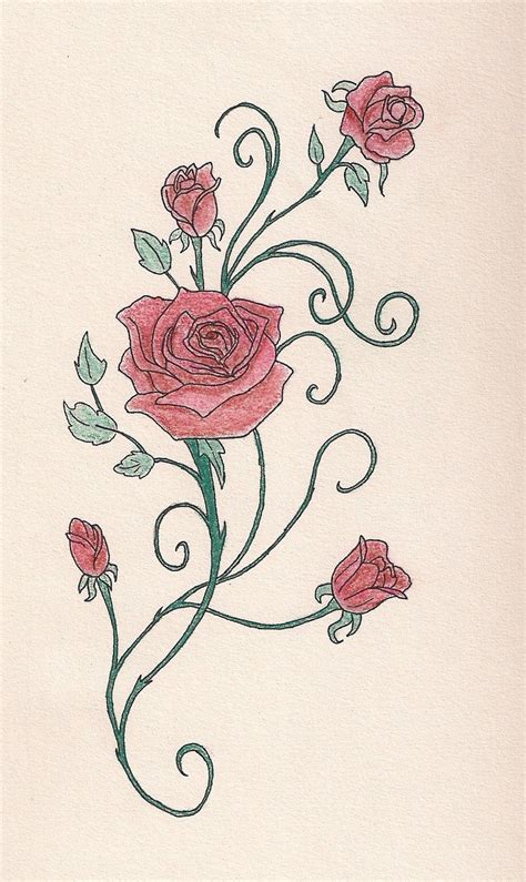 Drawings Of Roses And Vines